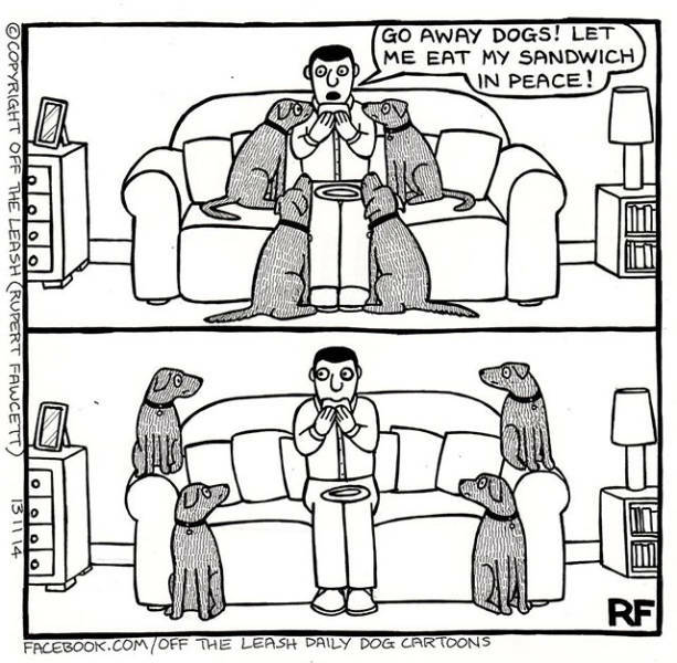 life_a_dog_owner.jpg
