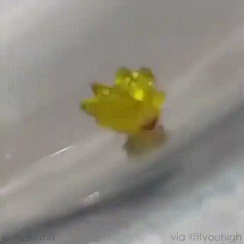 limatoukka.gif