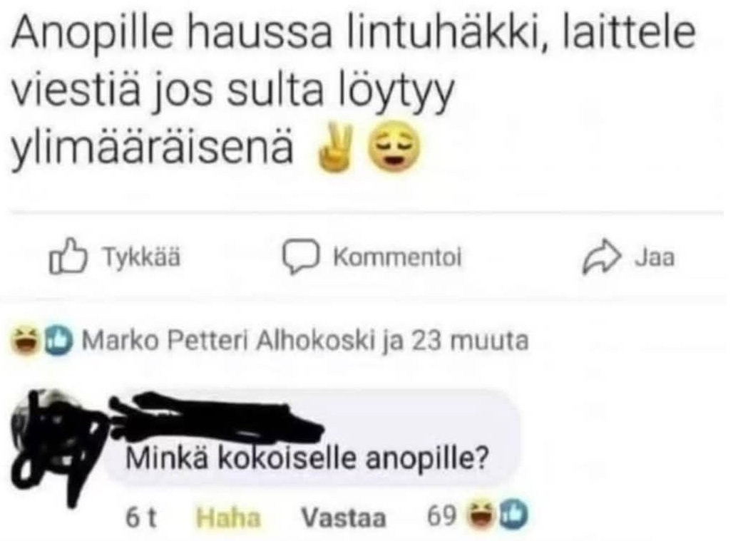 lintuhäkki_anopille.jpg