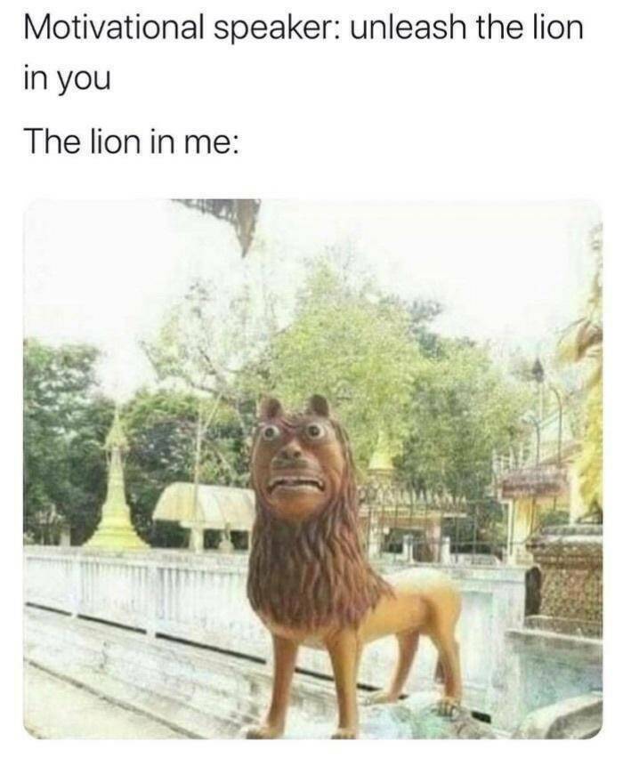 lion04.jpg