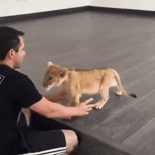 lion_hug2.gif