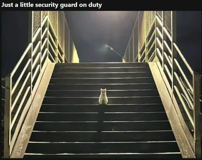 littleguard.jpg
