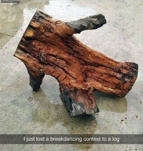 log.jpg