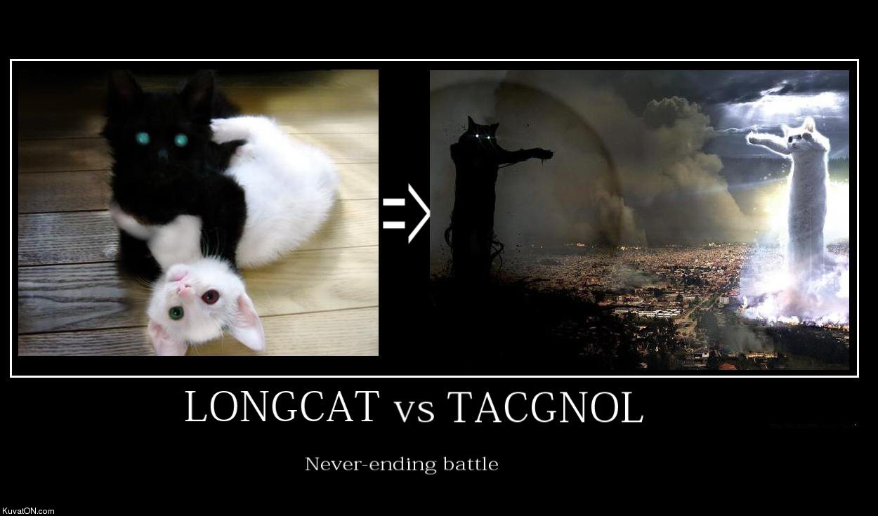 longcat_vs_tacgnol.jpg