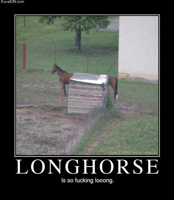 longhorse.png