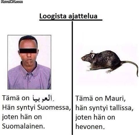 loogista_ajattelua.jpg