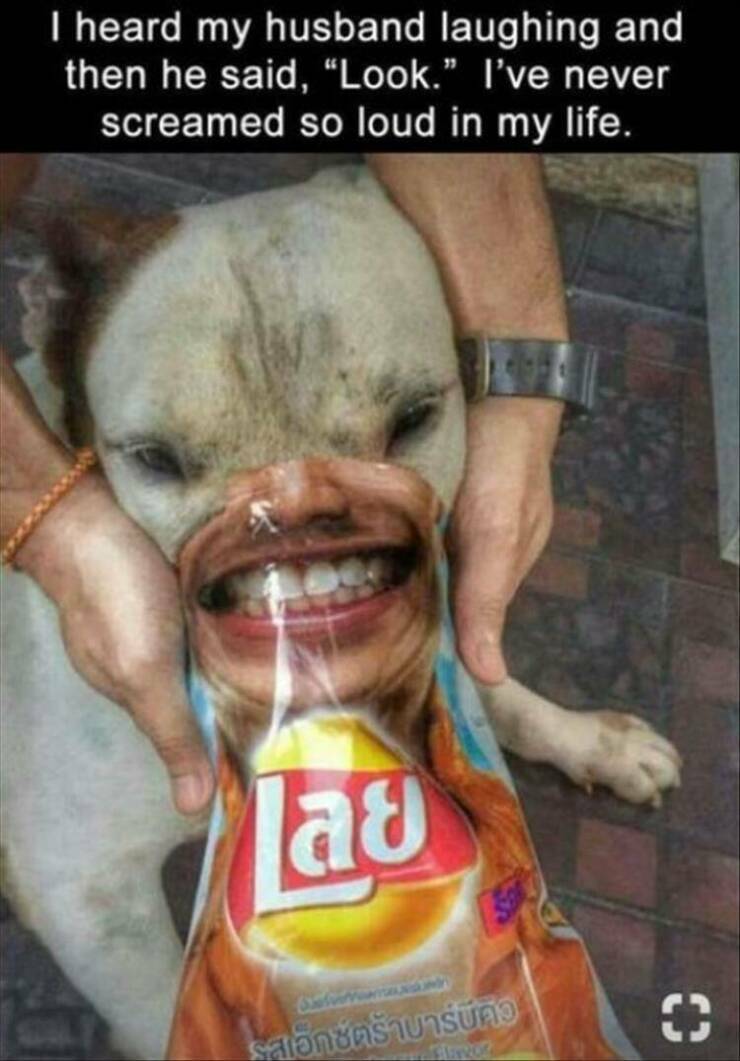 lookthis.jpg