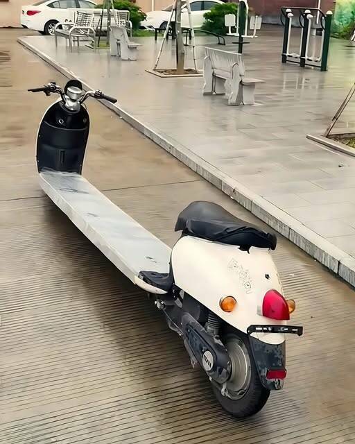 looongscooter.jpg