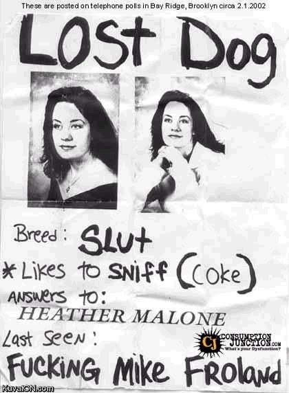 lost_dog.jpg