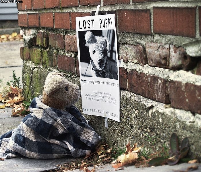 lost_puppy.jpg