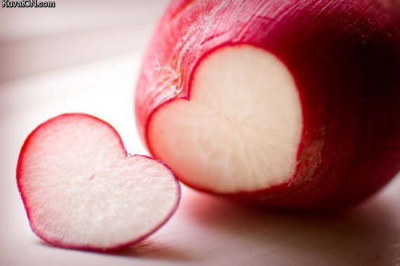lovely_radish.jpg
