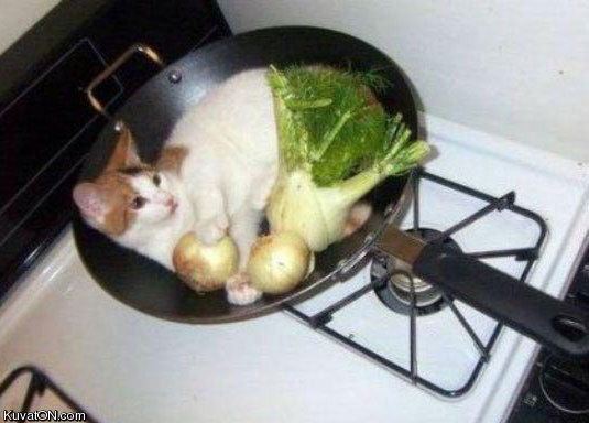 lunch4.jpg
