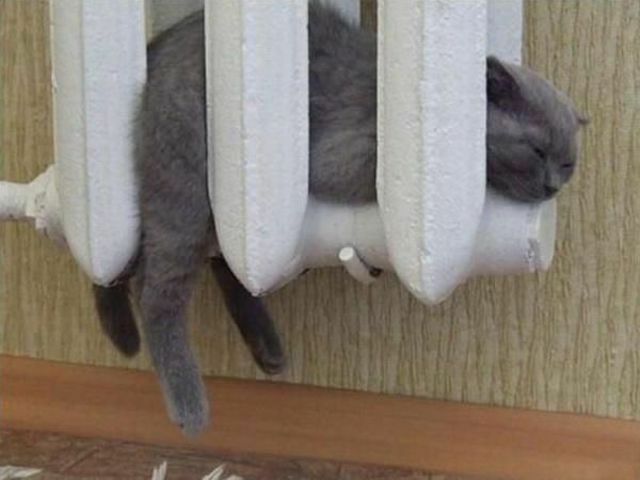 lämpimät_päiväunet.jpg
