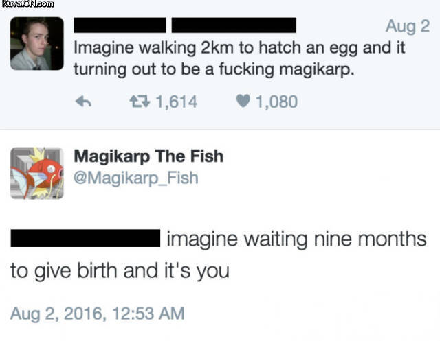 magikarp_the_fish.jpg