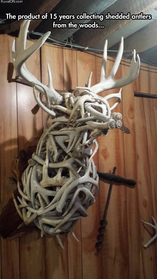 magnificent_sculpture_using_antlers.jpg