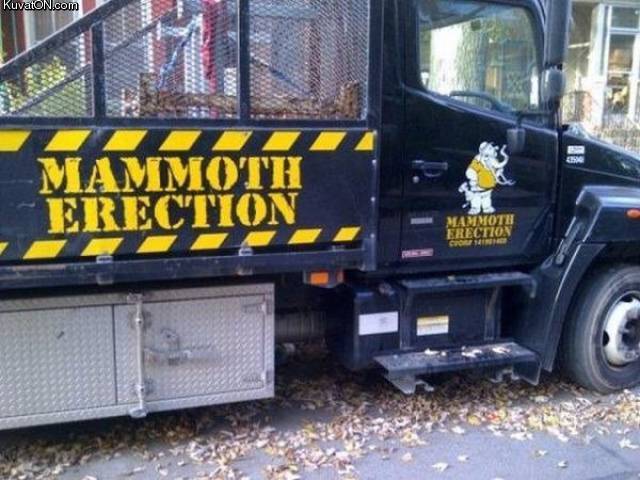 mammoth_erection7.jpg