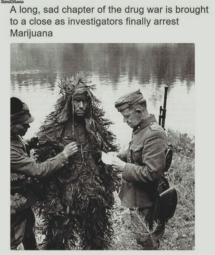 marijuana_arrest.jpg
