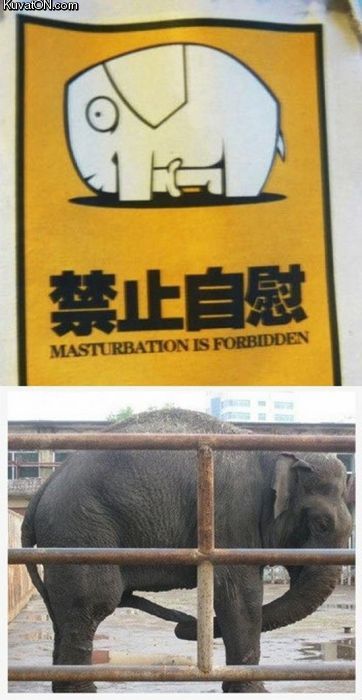 masturbation_is_forbidden.jpg