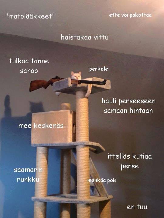 matolaakkeet.jpg