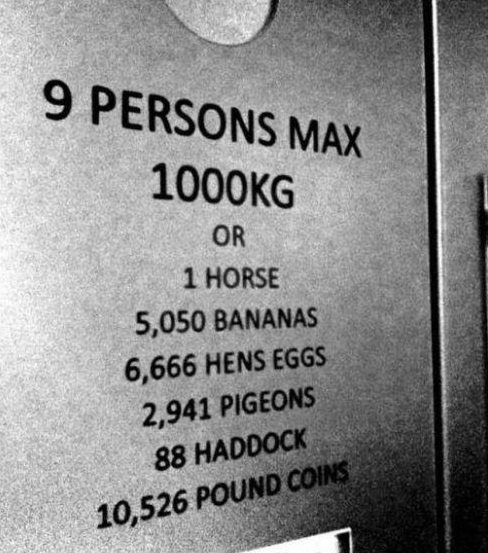 max1000kg.jpg