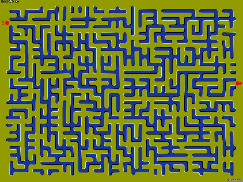 maze.jpg