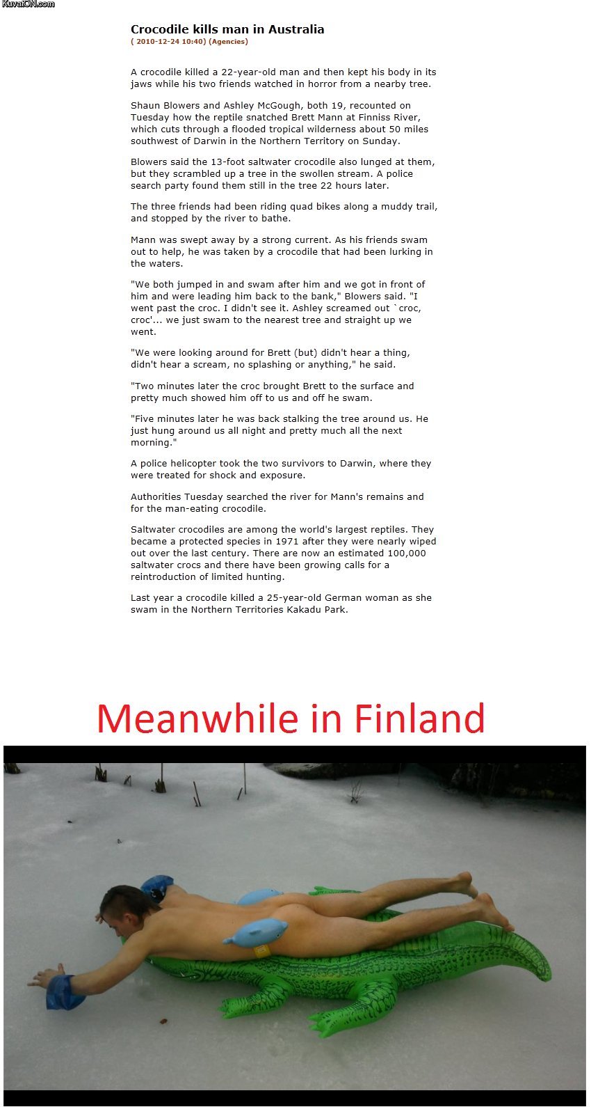 meanwhile_crocodile_in_finland.jpg