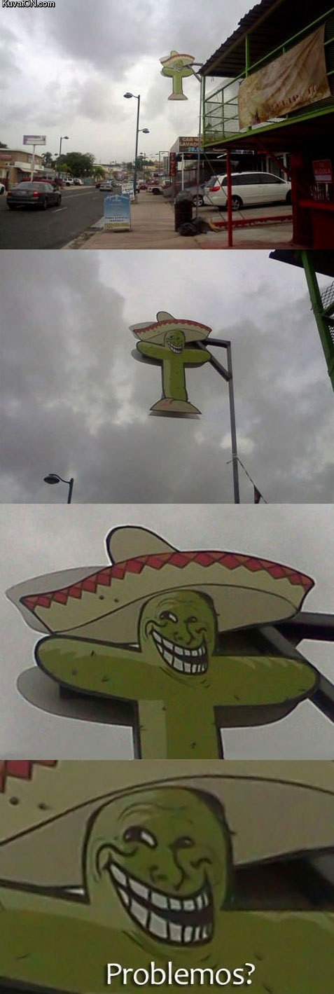 meanwhile_in_mexico.jpg