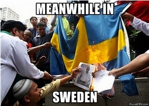 meanwhile_in_sweden2.jpg