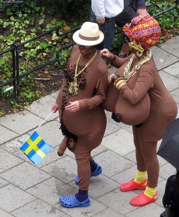 meanwhile_in_sweden3.jpg