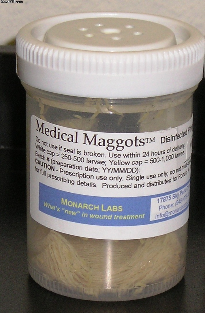 medical_maggots.jpg