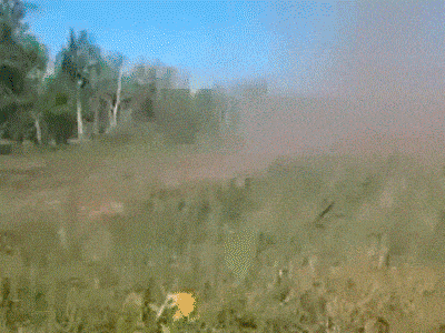 meinas_lähtee_käsistä.gif