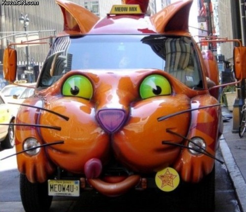 meow_car.jpg