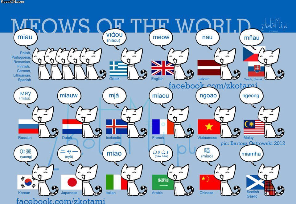 meows_of_the_world.jpg