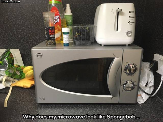 microwave2.jpg