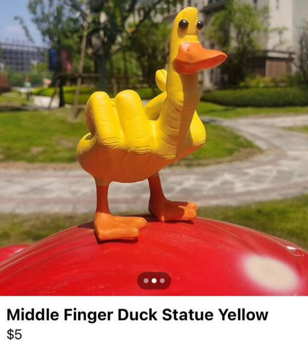 middlefingerduck.jpg