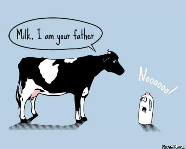 milk_cow_father.jpg