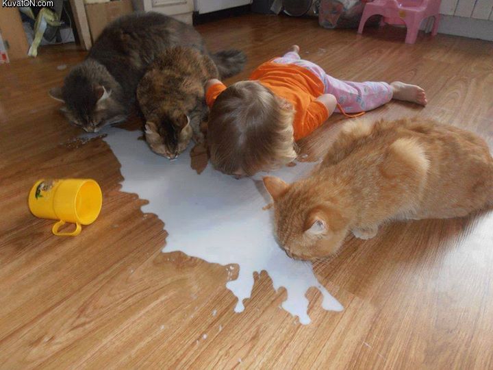 milk_lovers.jpg