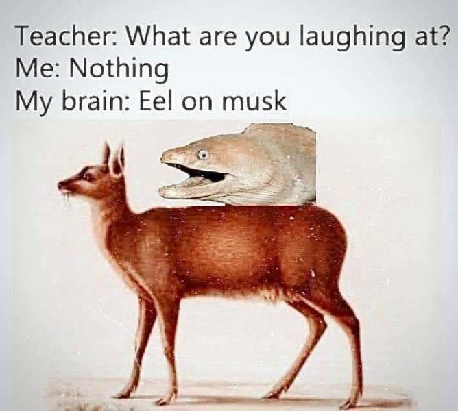 mille_naurat3.jpg