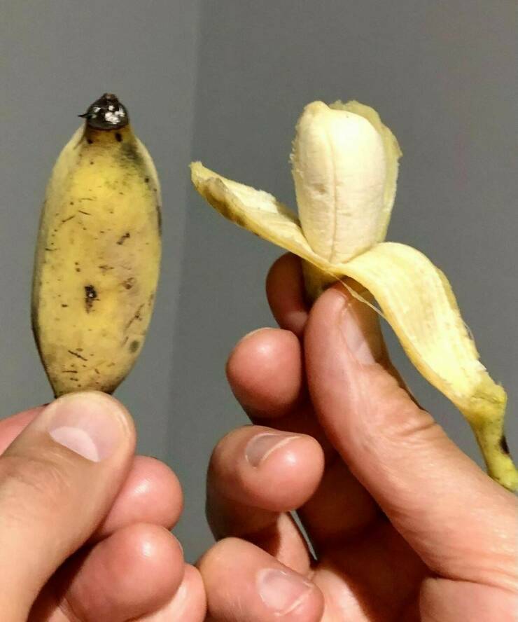 minibanana.jpg