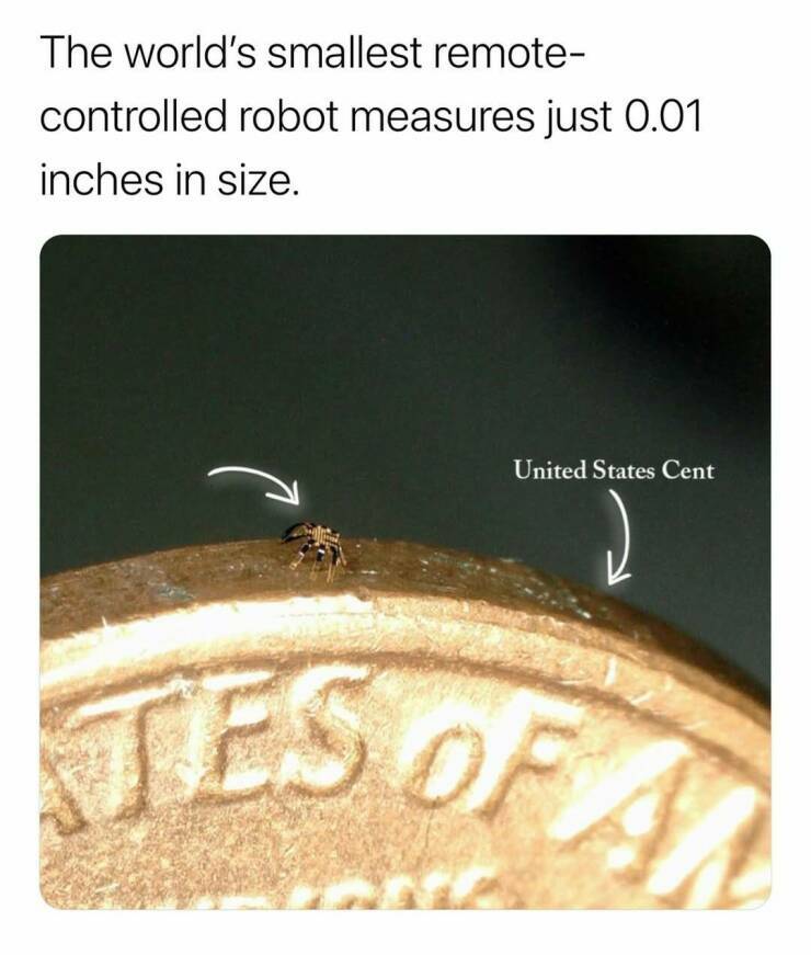 minirobot.jpg