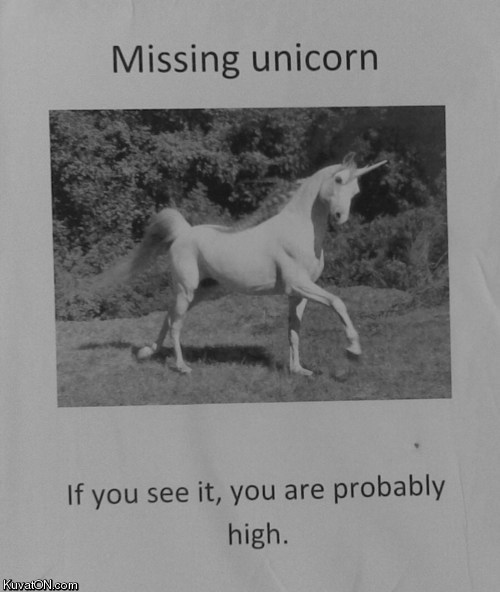 missing_unicorn.jpg