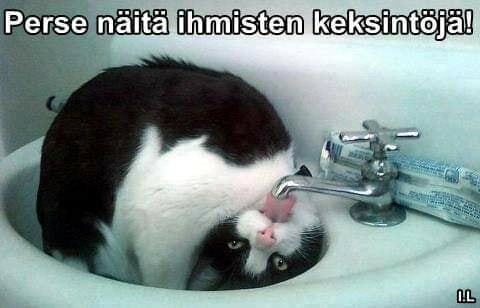 mite_taa_pitas_toimii.jpg