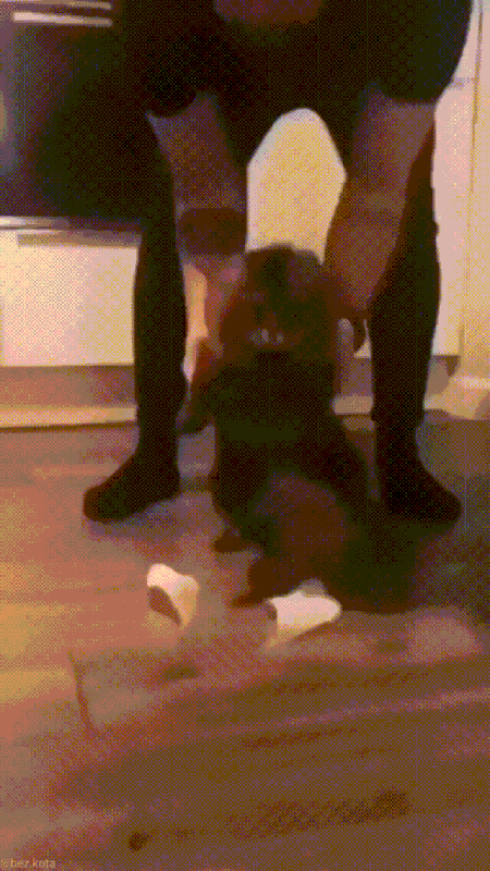 mitkä_nämä_ooooonn.gif