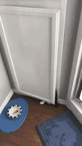 mitäs_täällä_tapahtuu.gif