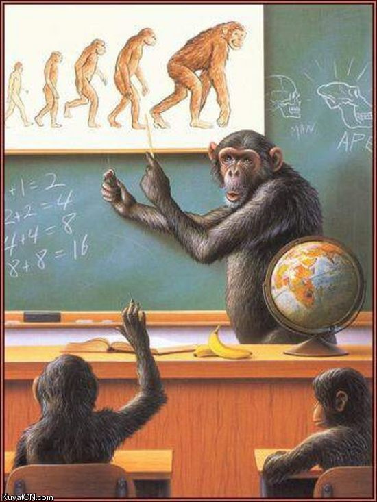 monkey_evolution.jpg
