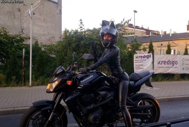 motocat.jpg