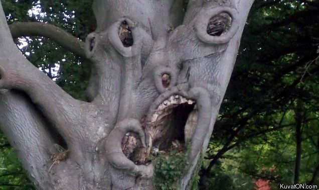 mutant_tree.jpg