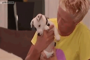naps23.gif