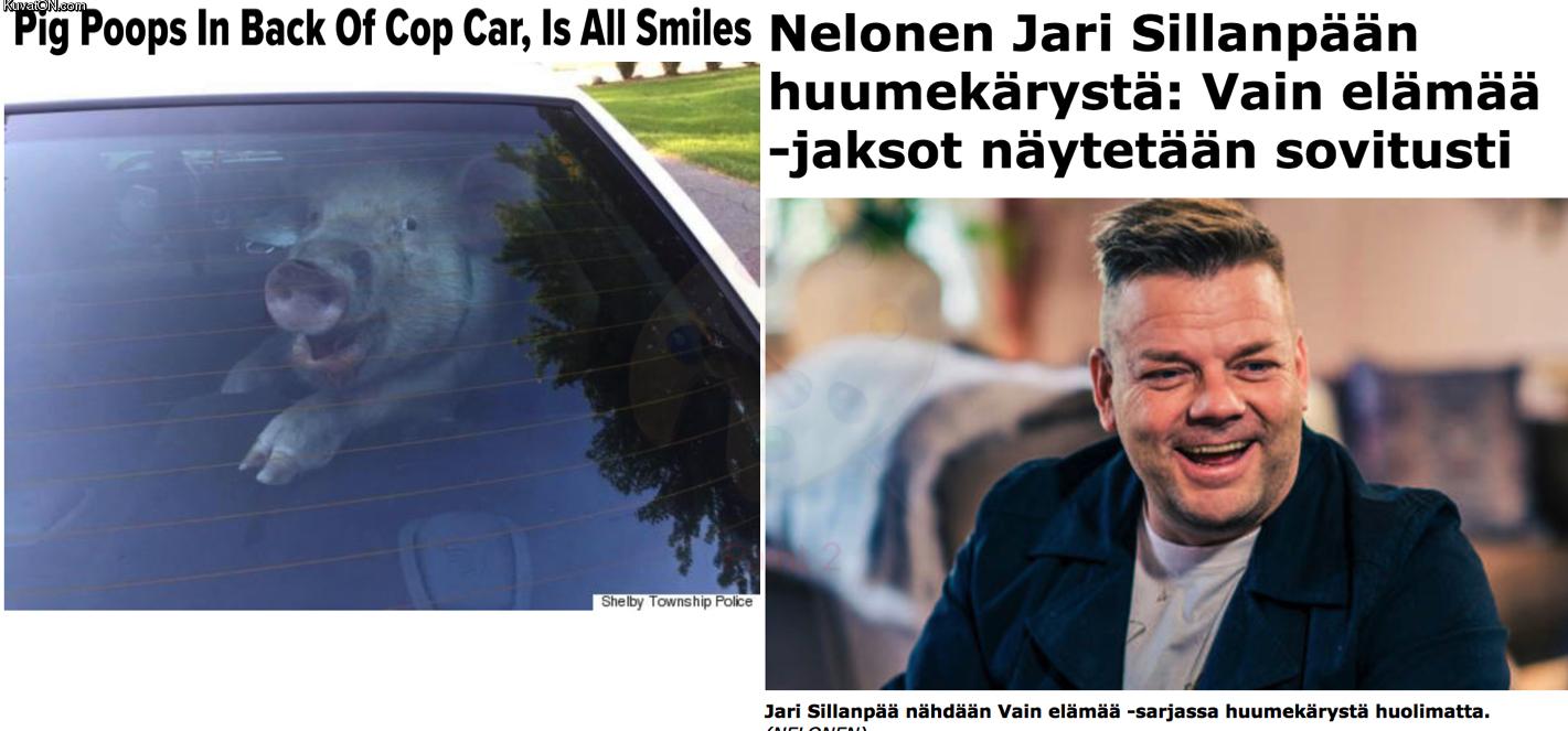 narkki_jari.jpg