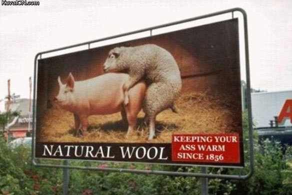 natural_wool.jpg